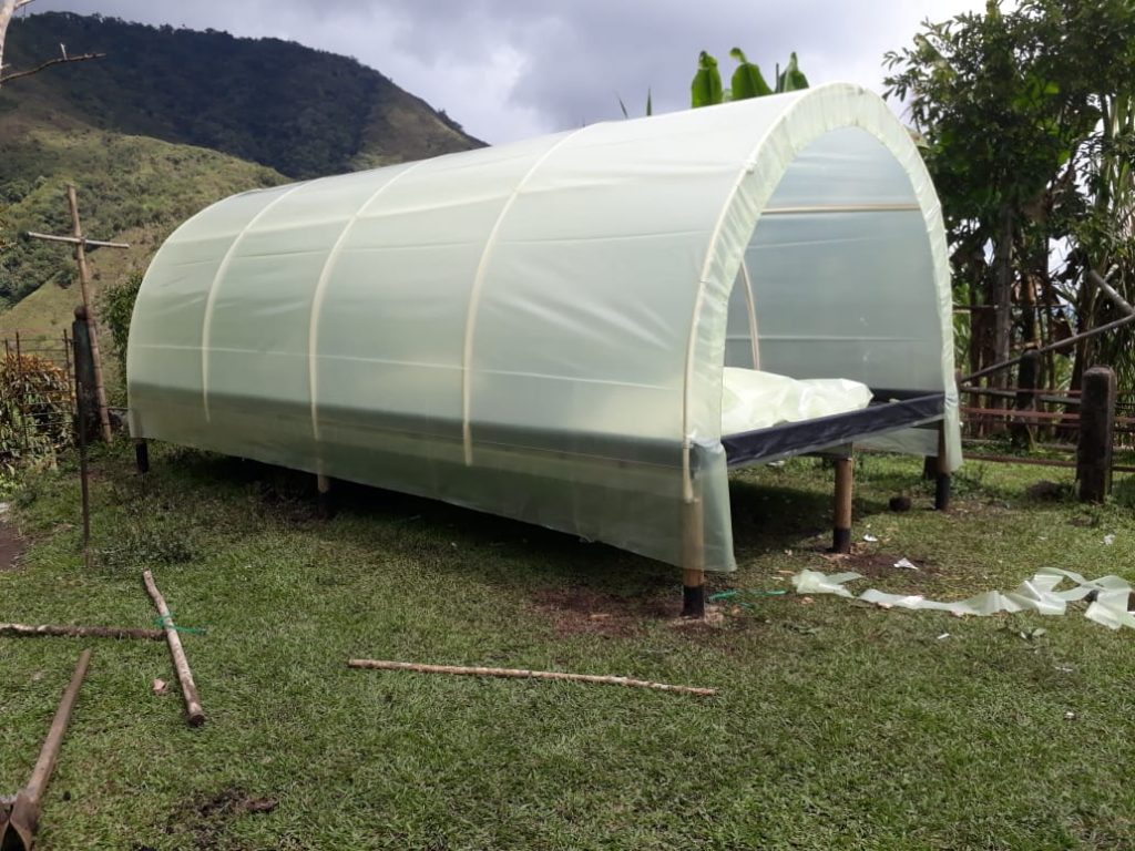 Proyecto marquesinas