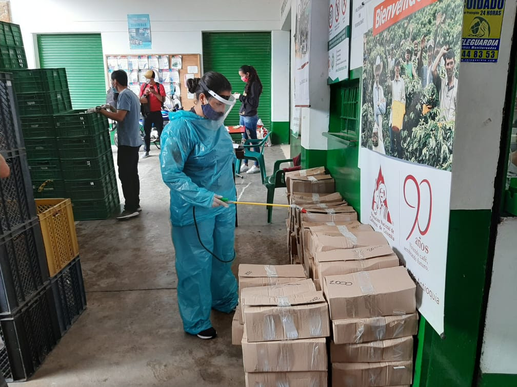 Entrega de 1 millón de chapolas para los municipios de Ituango y Yarumal