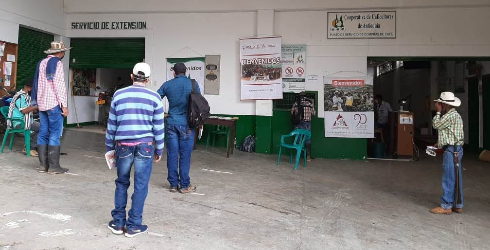 Entrega de 1 millón de chapolas para los municipios de Ituango y Yarumal