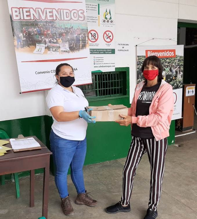 Entrega de 1 millón de chapolas para los municipios de Ituango y Yarumal