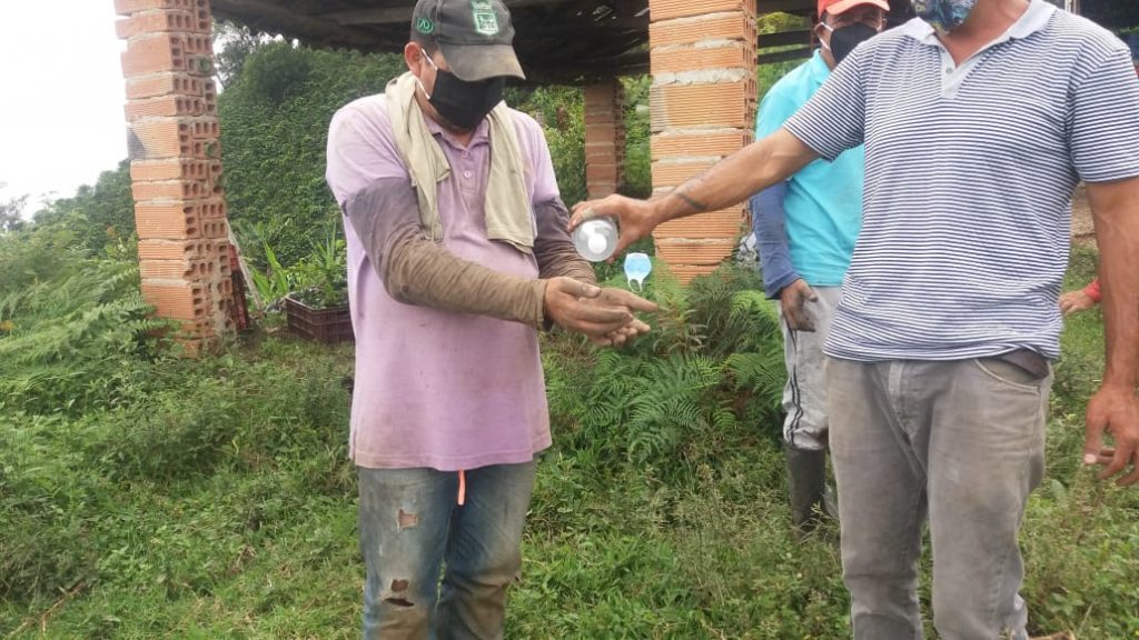 Entrega de 1 millón de chapolas para los municipios de Ituango y Yarumal