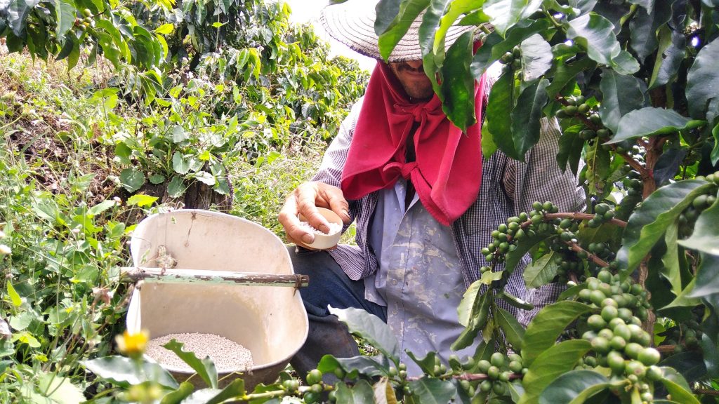 Nutrición integral del cultivo