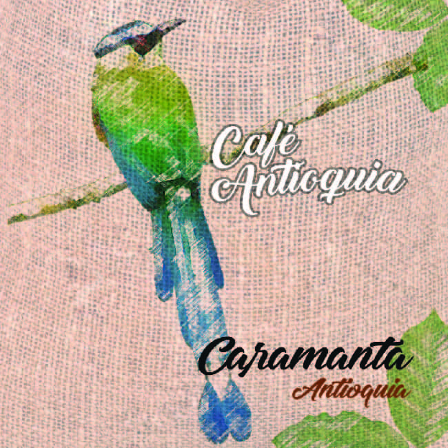 Café Antioquia – Origen Caramanta