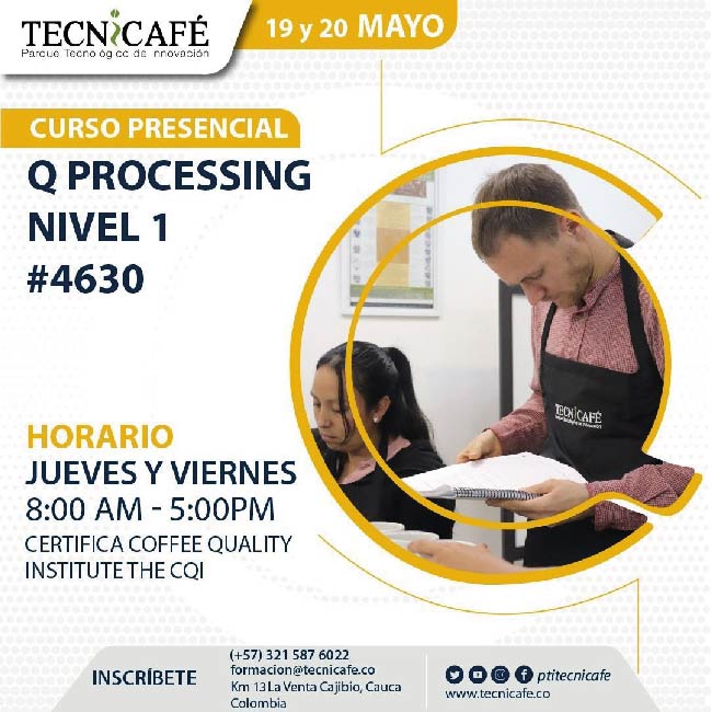 CURSO PRESENCIAL Q PROCESSING NIVEL 1
