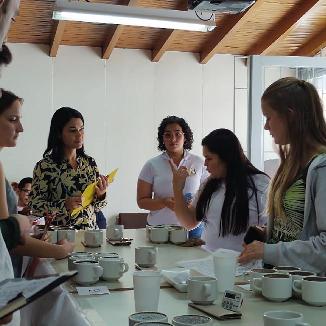 Visita estudiantes de la Universidad of St. Gallen de Suiza