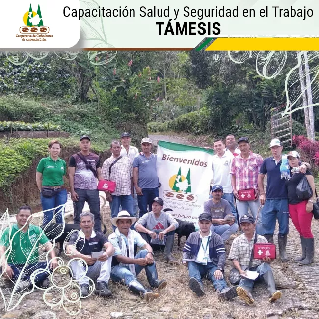 Salud y seguridad en el trabajo (SST) – Támesis
