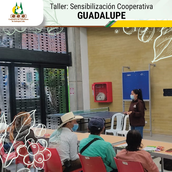 Sensibilización Cooperativa – Guadalupe