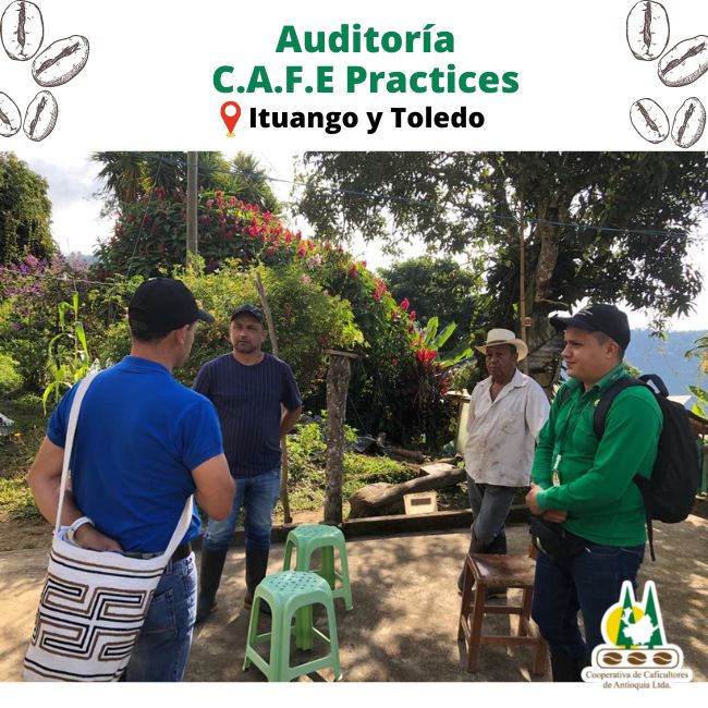 Auditoría C.A.F.E Practices: Ituango y Toledo