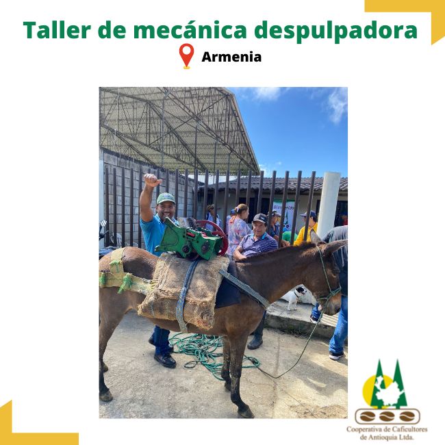 Taller de mecánica despulpadora: Armenia