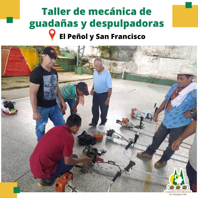 Taller de mecánica de guadañas y motosierras. El Peñol y San Francisco