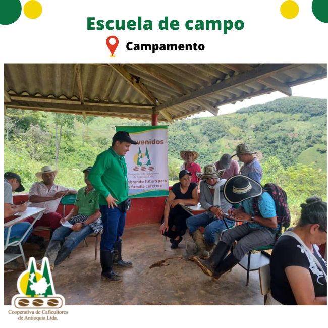 Escuela de campo. Campamento