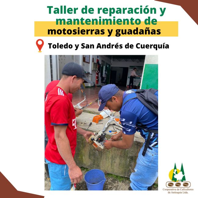Taller de mecánica de motosierras y guadañas: Toledo y San Andrés de Cuerquía