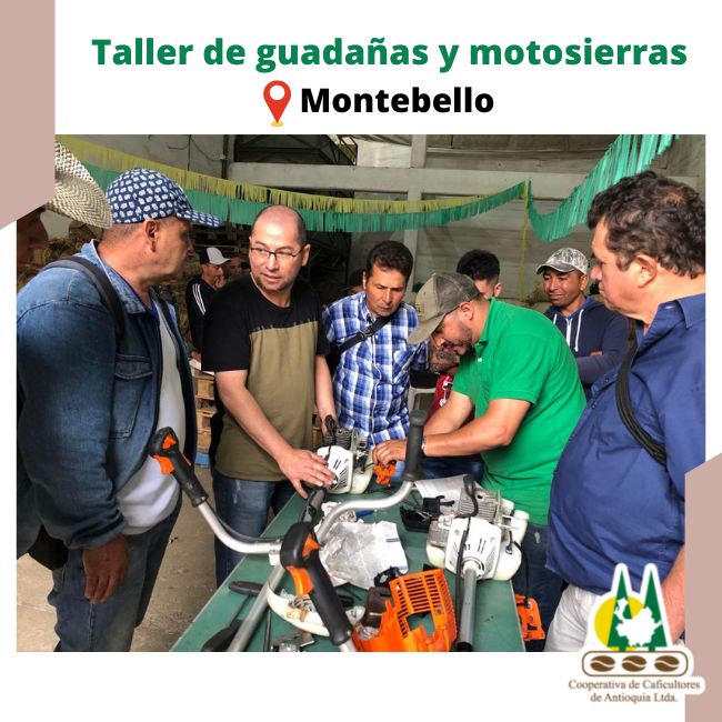 Taller de mecánica de motosierras y guadañas: Montebello
