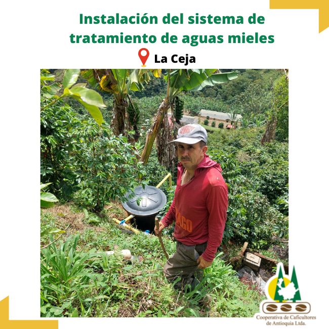 Instalación del sistema de tratamiento de aguas mieles: La Ceja