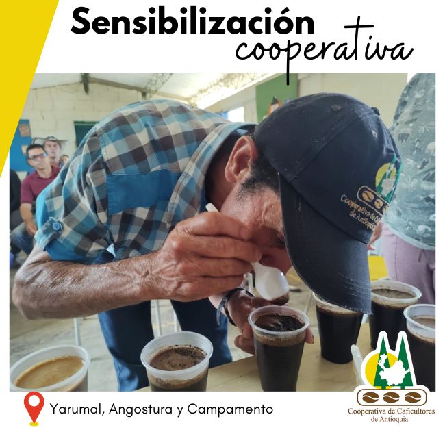 Sensibilización Cooperativa: Yarumal, Angostura y Campamento