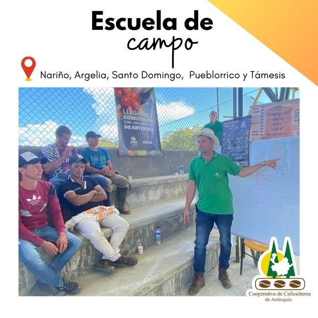Escuela de campo: Nariño, Argelia, Santo Domingo, Pueblorrico y Támesis
