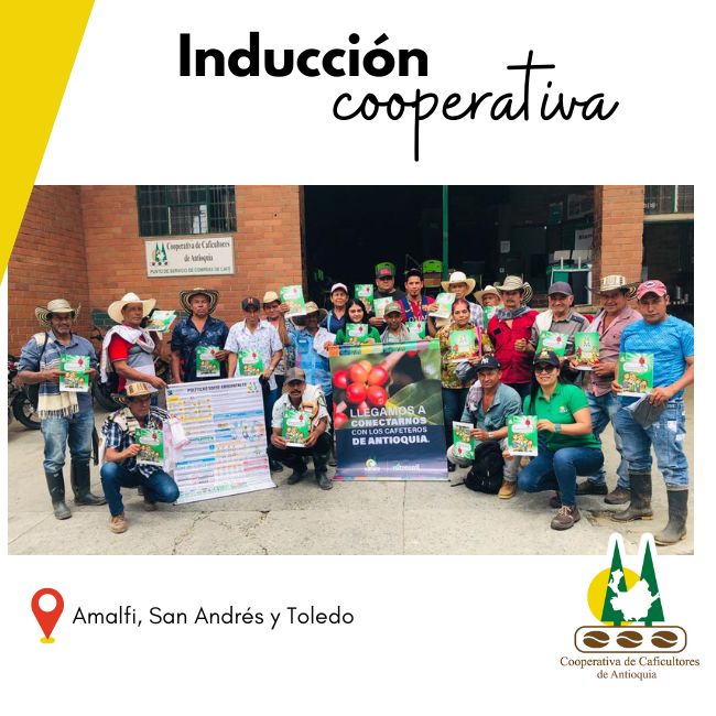 inducción Cooperativa: Toledo, Amalfi y San Andrés.