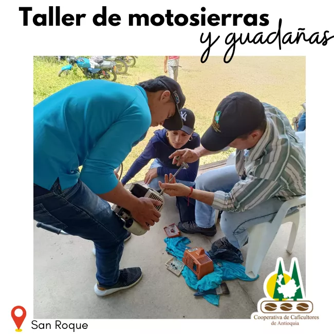 Reparación y mantenimiento de guadañas y motosierras: San Roque