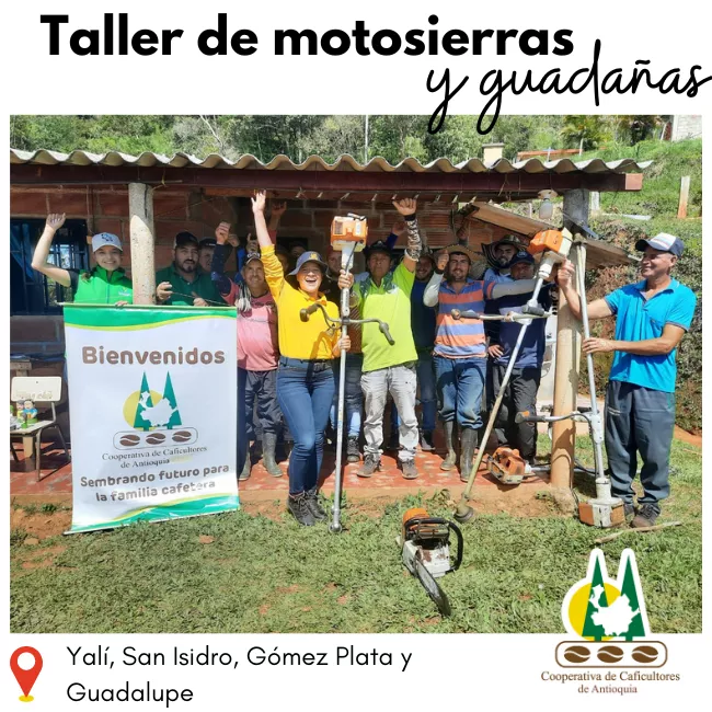 Reparación y mantenimiento de guadañas y motosierras: Yalí, San Isidro, Gómez Plata y Guadalupe
