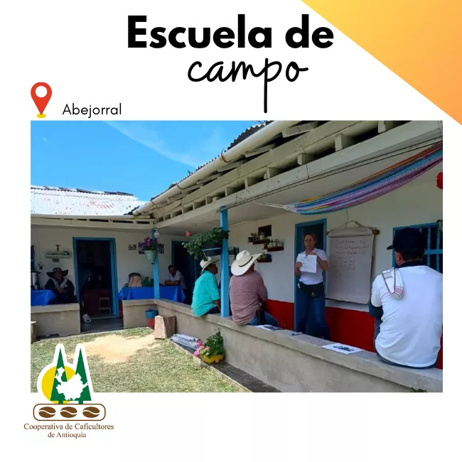 Escuela de campo:Abejorral