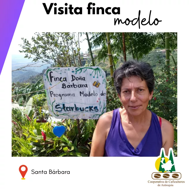 Finca modelo: Santa Bárbara