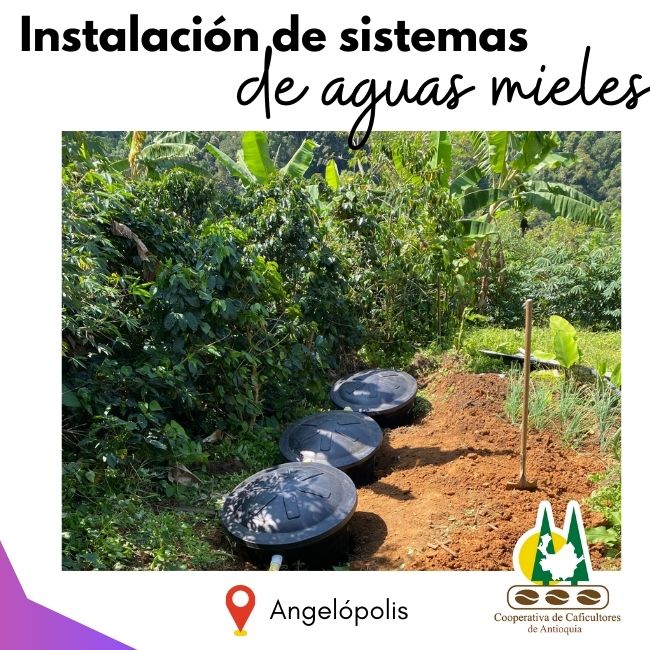 Sistema de Tratamiento de Aguas Mieles: Angelópolis