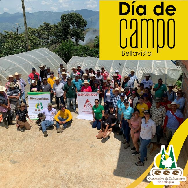 Día de campo: Bellavista