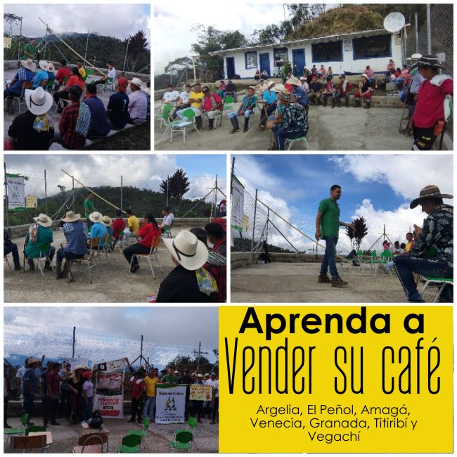 Aprenda a vender su café: Argelia, El Peñol, Amagá, Venecia, Granada, Titiribí y Vegachí