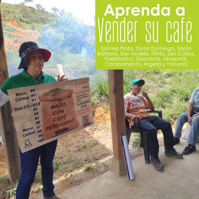 Aprenda a vender su café: Gómez Plata, Santo Domingo, Santa Bárbara, San Andrés, Titiribí, San Carlos, Pueblorrico, Girardota, Abejorral, Campamento, Argelia y Yarumal