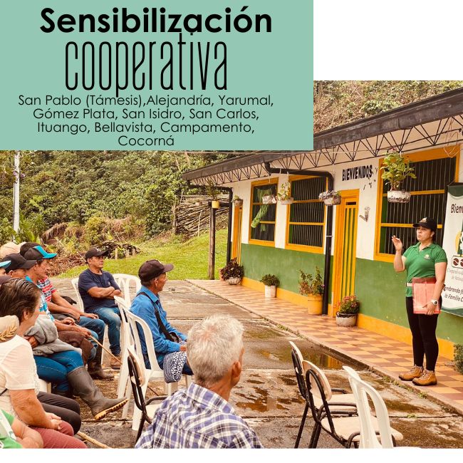 Sensibilización Cooperativa: San Pablo (Támesis), Alejandría, Yarumal, Gómez Plata, San Isidro, San Carlos, Ituango, Bellavista, Campamento, Cocorná