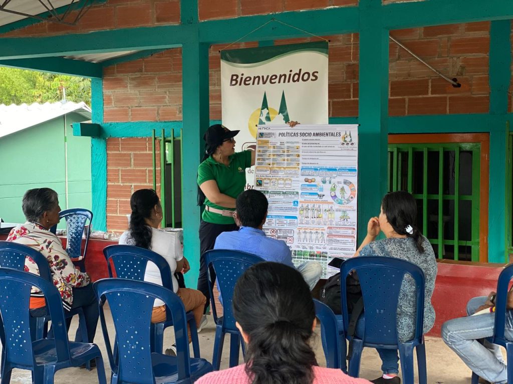 Certificación Q Grader Arabica