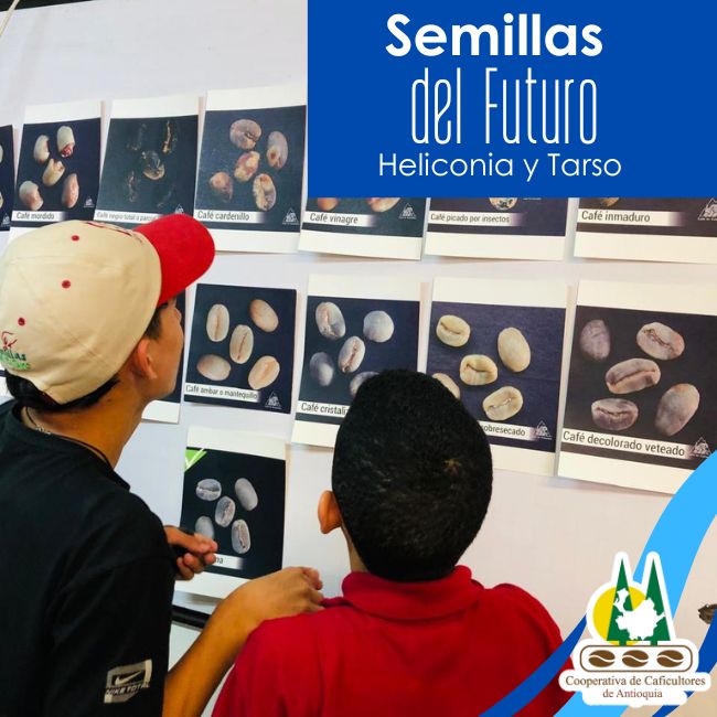 Semillas del futuro: Heliconia y Tarso