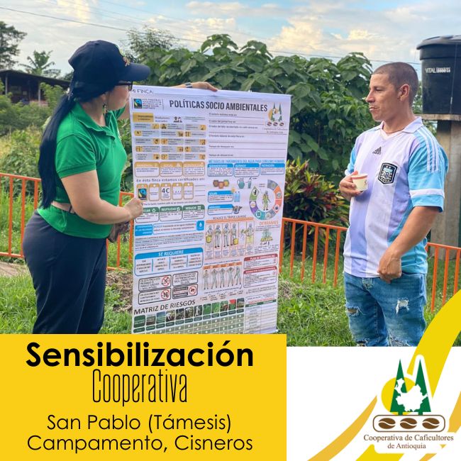 Certificación Q Grader Arabica