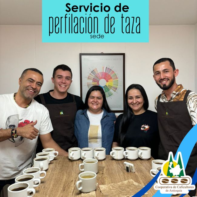 Servicio de perfilación de taza