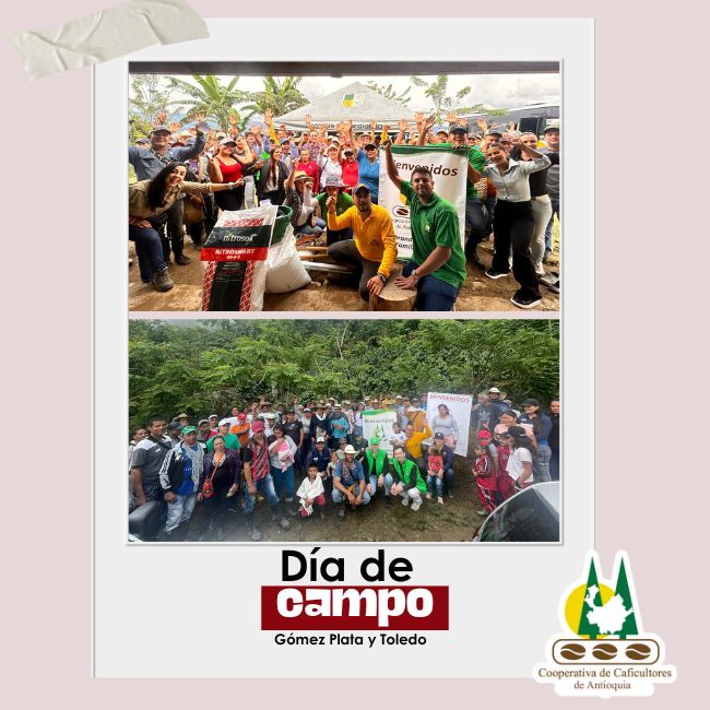 Día de campo: Toledo y Gómez Plata