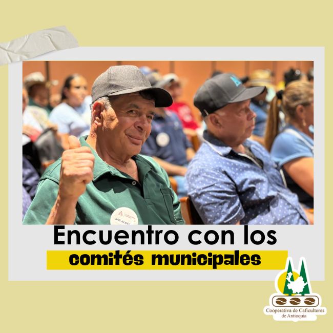Encuentro comités municipales