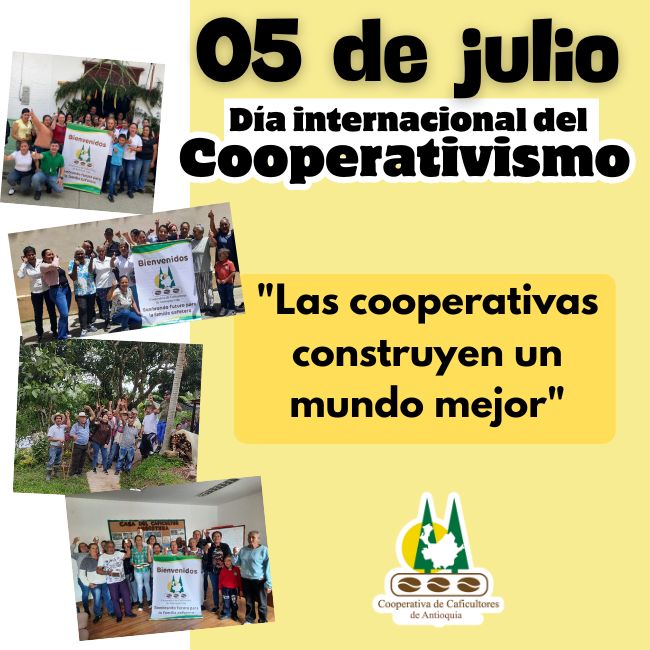 Día internacional del cooperativismo 2025