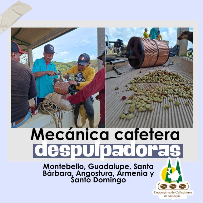 Mecánica cafetera: Despulpadoras: Montebello, Guadalupe, Santa Bárbara, Angostura, Armenia y Santo Domingo.