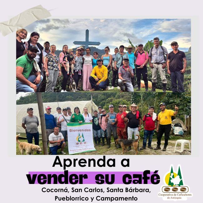 Aprenda a vender su café: Cocorná, San Carlos, Santa Bárbara, Pueblorrico y Campamento