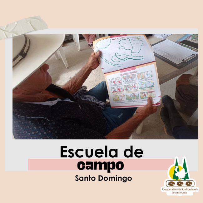 Escuela de campo: Santo Domingo