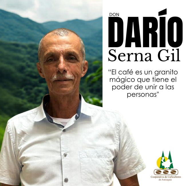 Don Darío Serna Gil: sembrando liderazgo y esperanza para más 11 mil familias cafeteras