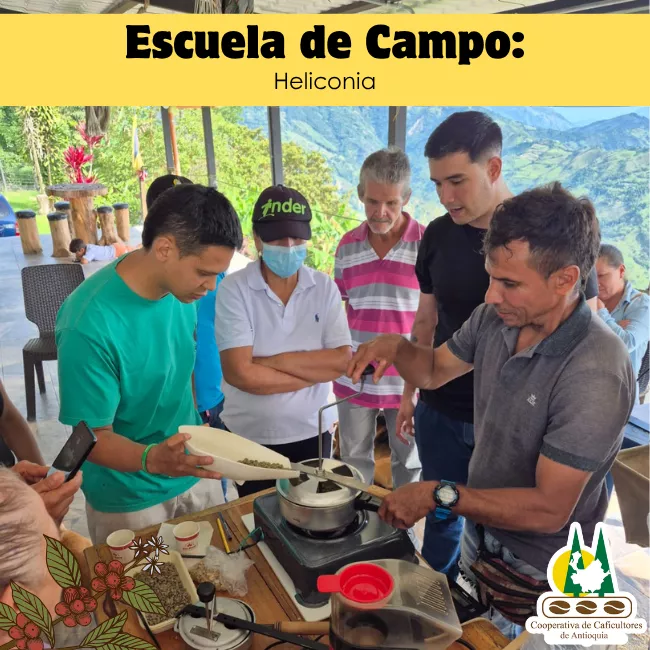 Escuela de campo: Heliconia